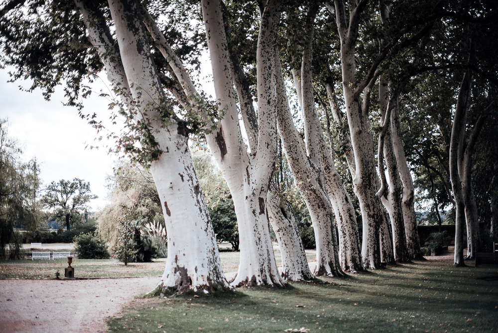 arisa & Cliff's beautiful Provencewedding