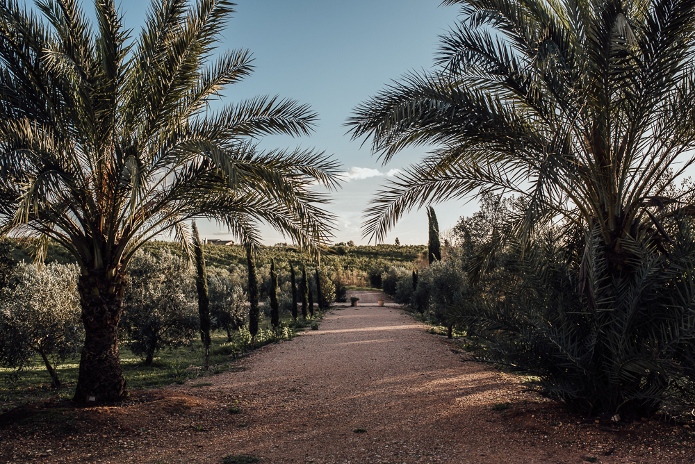 Kim & Xavier's andalusian hacienda wedding in Seville